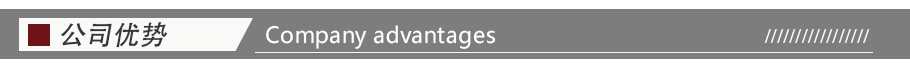 公司優勢 公司優勢