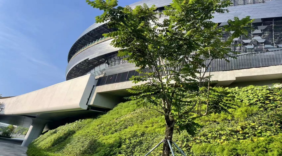 深圳科技館UHPC板工程 深圳科技館UHPC板工程